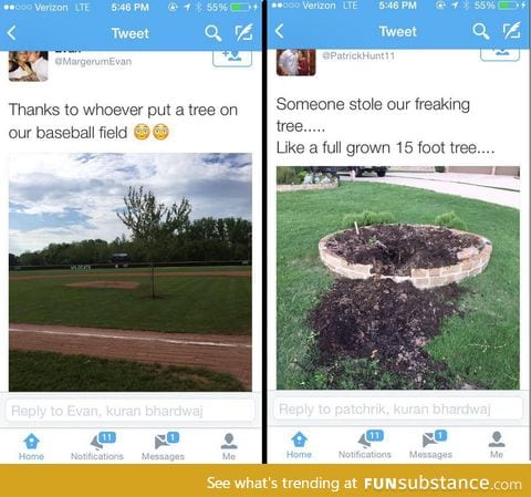 Poor tree