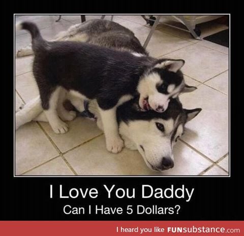 I love you daddy