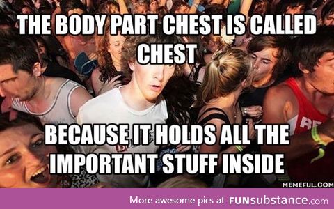 The chest