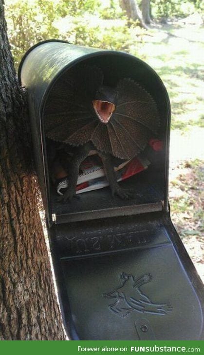 How to scare your mailman: 101