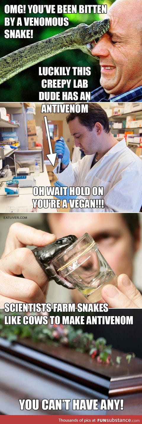 No treatment for vegans