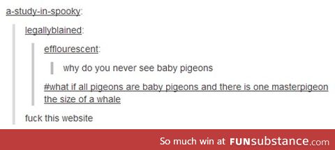 Masterpigeons