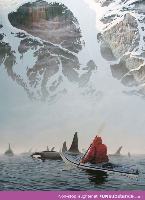 Kayaking with Orcas