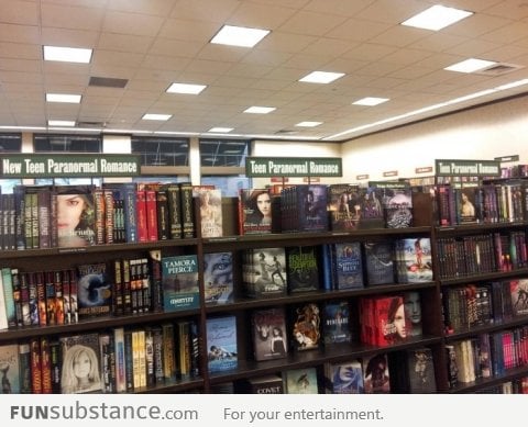 I think there are too many "Teen Paranormal Romance" books