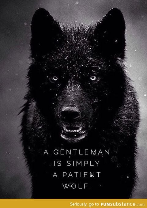 A Man Should Never Call Himself A Gentleman, It Should Be Recognised By Others