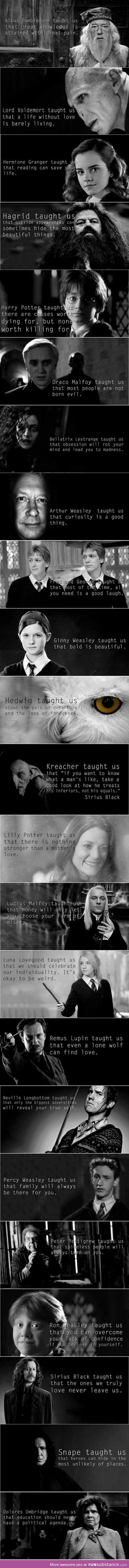 What the Harry Potter books thought us..