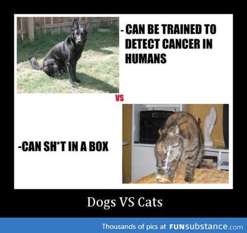 Main difference between dogs and cats