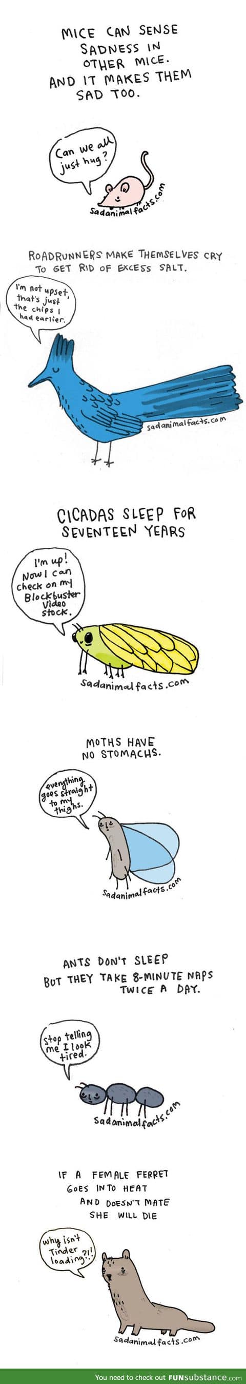 sad animal facts part 3