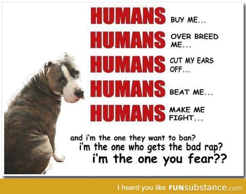 Please help us stop the ban against pit bulls!