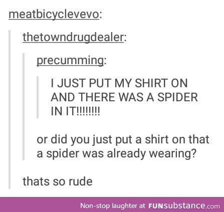 Spiders