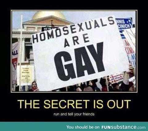 Are you sure homosexuals are gay