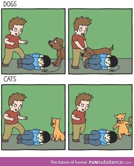 Dogs vs Cats