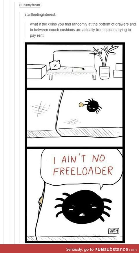 Spiders do care