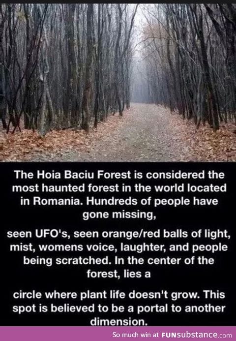 The hoia baciu forest