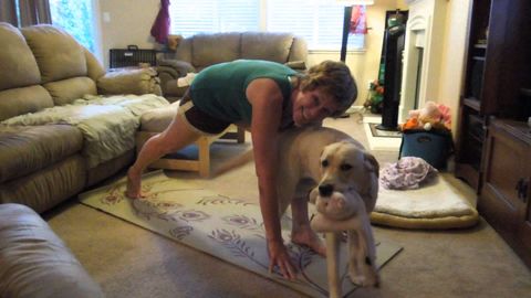 This is what downward dog leads to