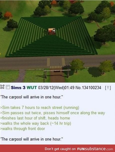 Sims play