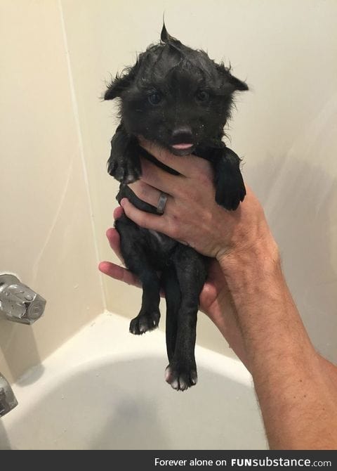 Day 257 of your daily dose of cute: Bath time