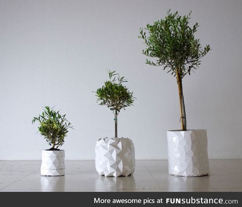 Origami pot that grows together with your plants