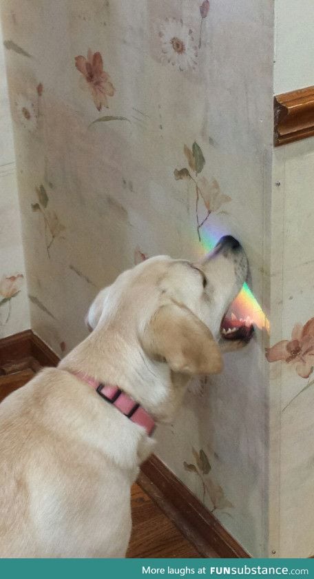 Taste the Rainbow