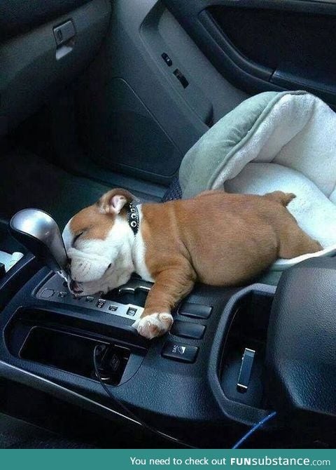 Uber driver caught sleeping on the job