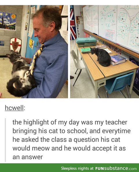 Purrrrrfect teacher