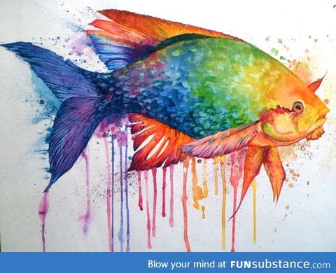 Rainbow fish