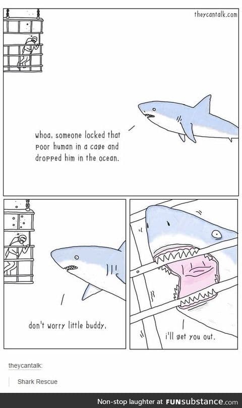 Good guy shark