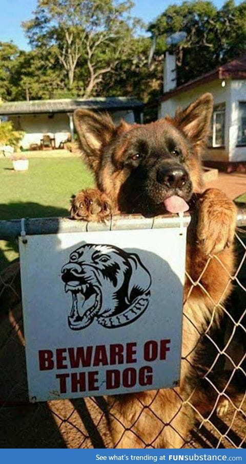 Beware of dog!