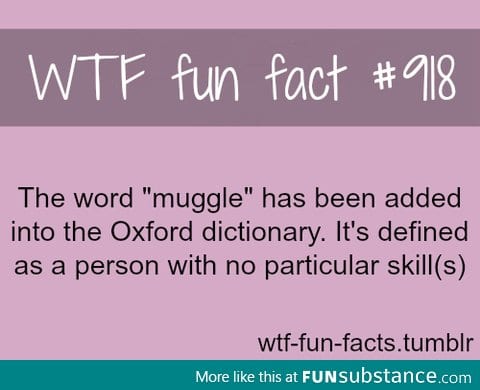 muggle