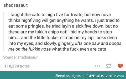 Cats