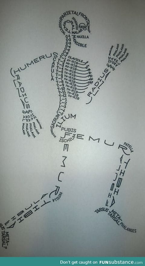 Skeleton drawn using bone names