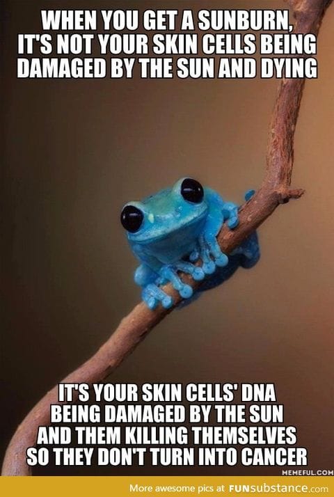 I love my skin cells so much that I avoid sunlight so they can live!