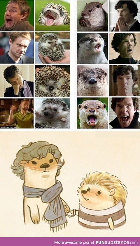 Otterlock