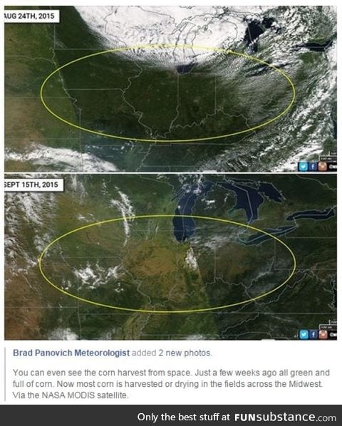 You can see this year's corn harvest from space!