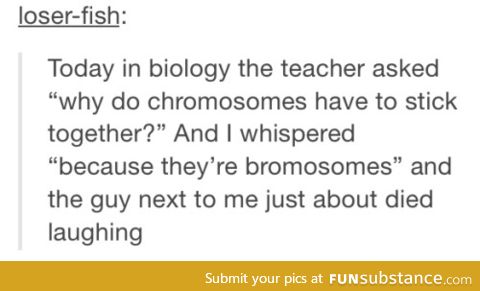 ...bromosomes...