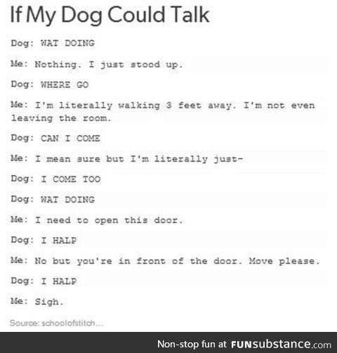 My dog all the time