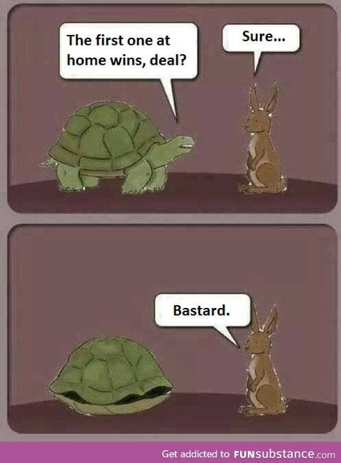 The real hare and tortoise