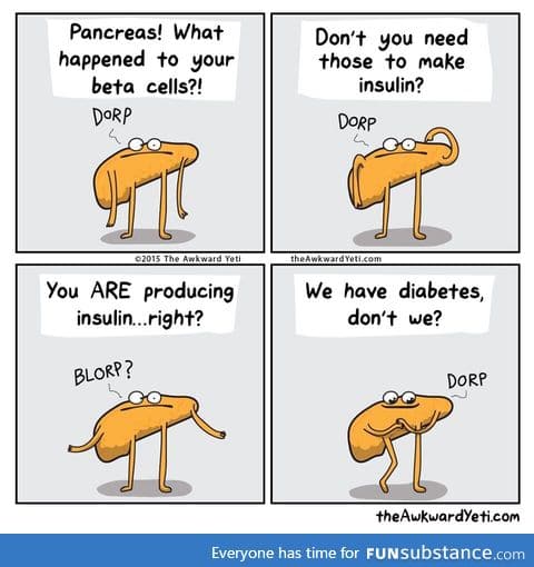 Dammit Pancreas