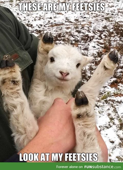 HIS WITTLE FEETSIES I'M DYING THEY'RE SUCH CUTE OMG