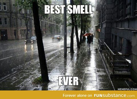 Smell of rain