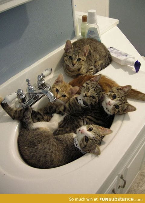 Sorry, the sink is busy today