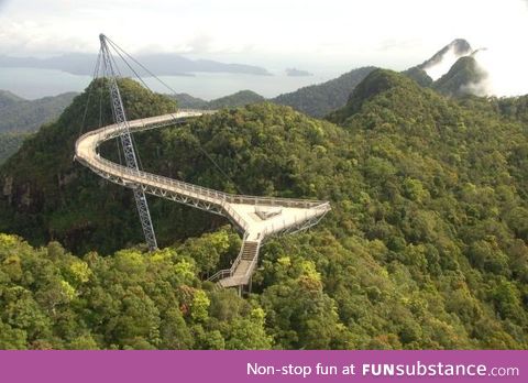 A canopy bridge