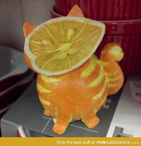 Fruit cat