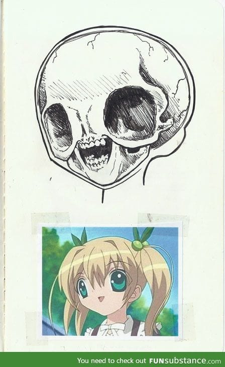 Anatomy of Anime