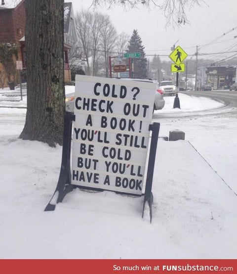 Public Library Has A Clever Blizzard Solution