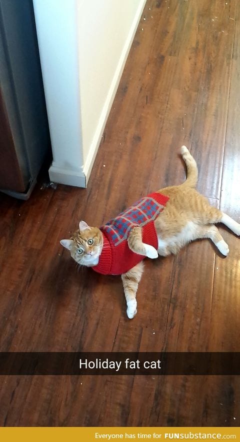 Festive Kitty is Festive