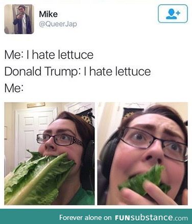 Lettuce