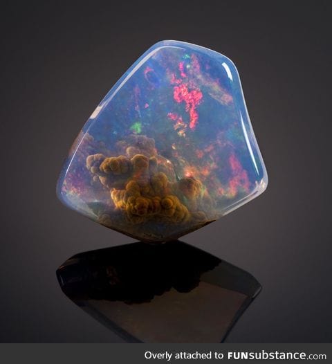 Contraluz opal worth $20000