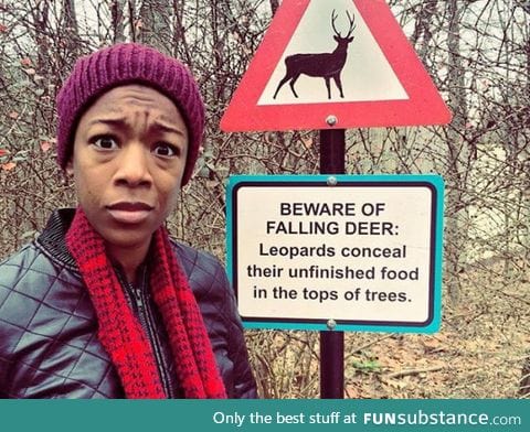 I think i can manage a leopard or two, but never a falling deer