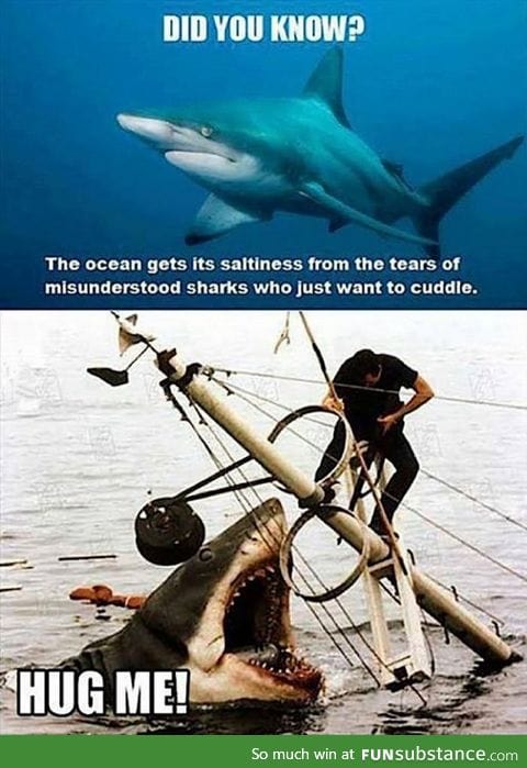 Sharks just want to be loved